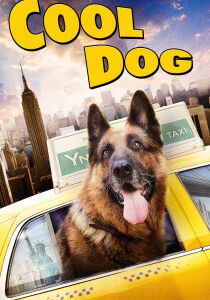 Cool dog - Rin Tin Tin a New York streaming