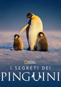 I segreti dei pinguini [Sub-ITA] streaming