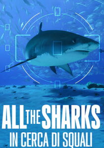 All the Sharks - In cerca di squali streaming