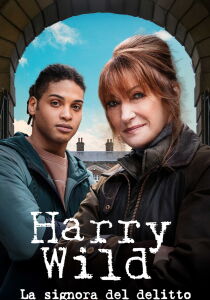 Harry Wild - La signora del delitto streaming