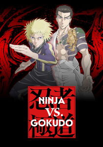 Ninja vs. Gokudo streaming
